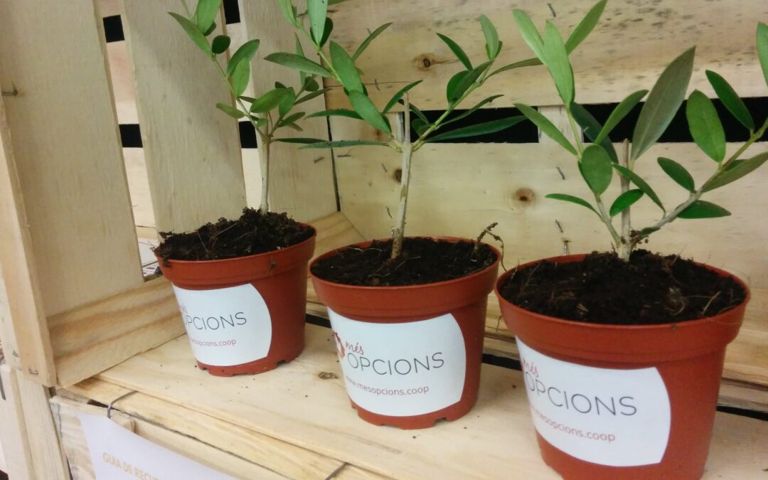 La solidaritat, un eix econòmic