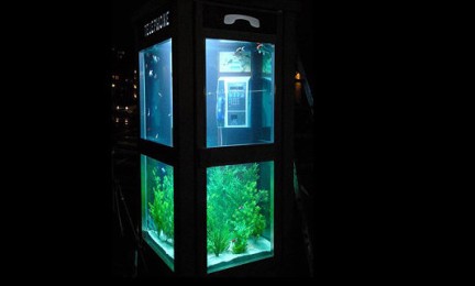 Cabines telefòniques abandonades o un armari compartit al carrer