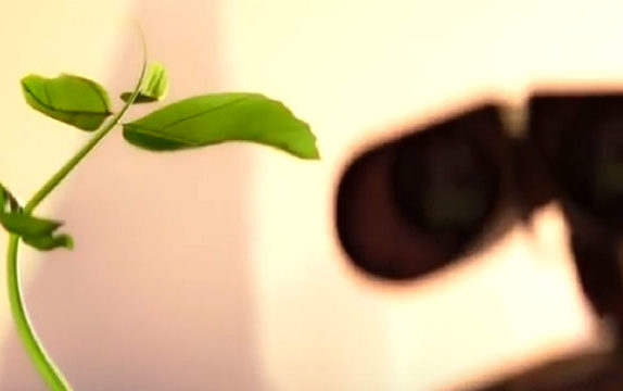 La dècada de la lucidesa