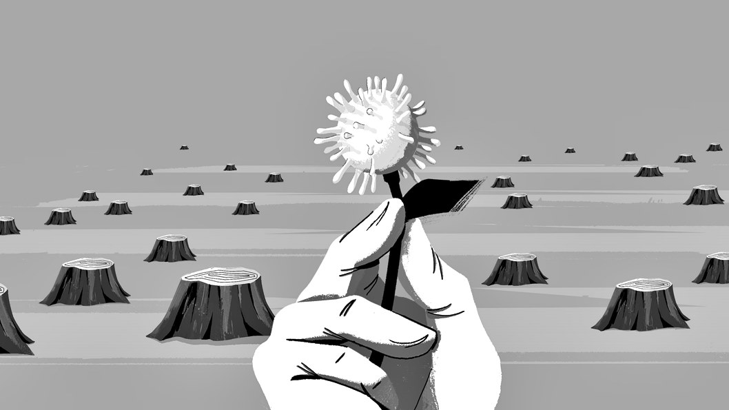 El coronavirus, una oportunitat forçosa (1a reflexió / 1a reflexió / 1er dia de confinament del Coronavirus)