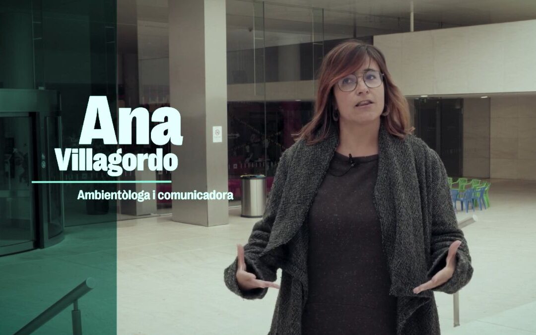 Entrevista per Sostenible.cat sobre greenwashing