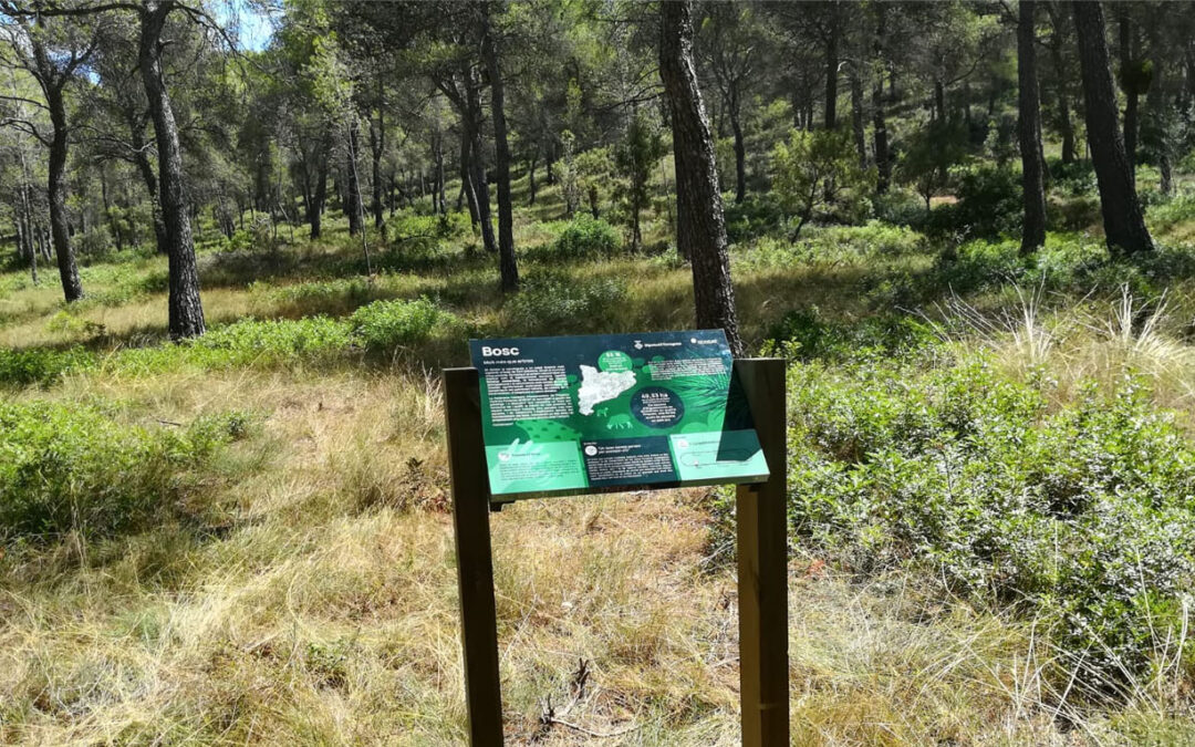 Concepción, guión y coordinación de un itinerario forestal para BOSCAT