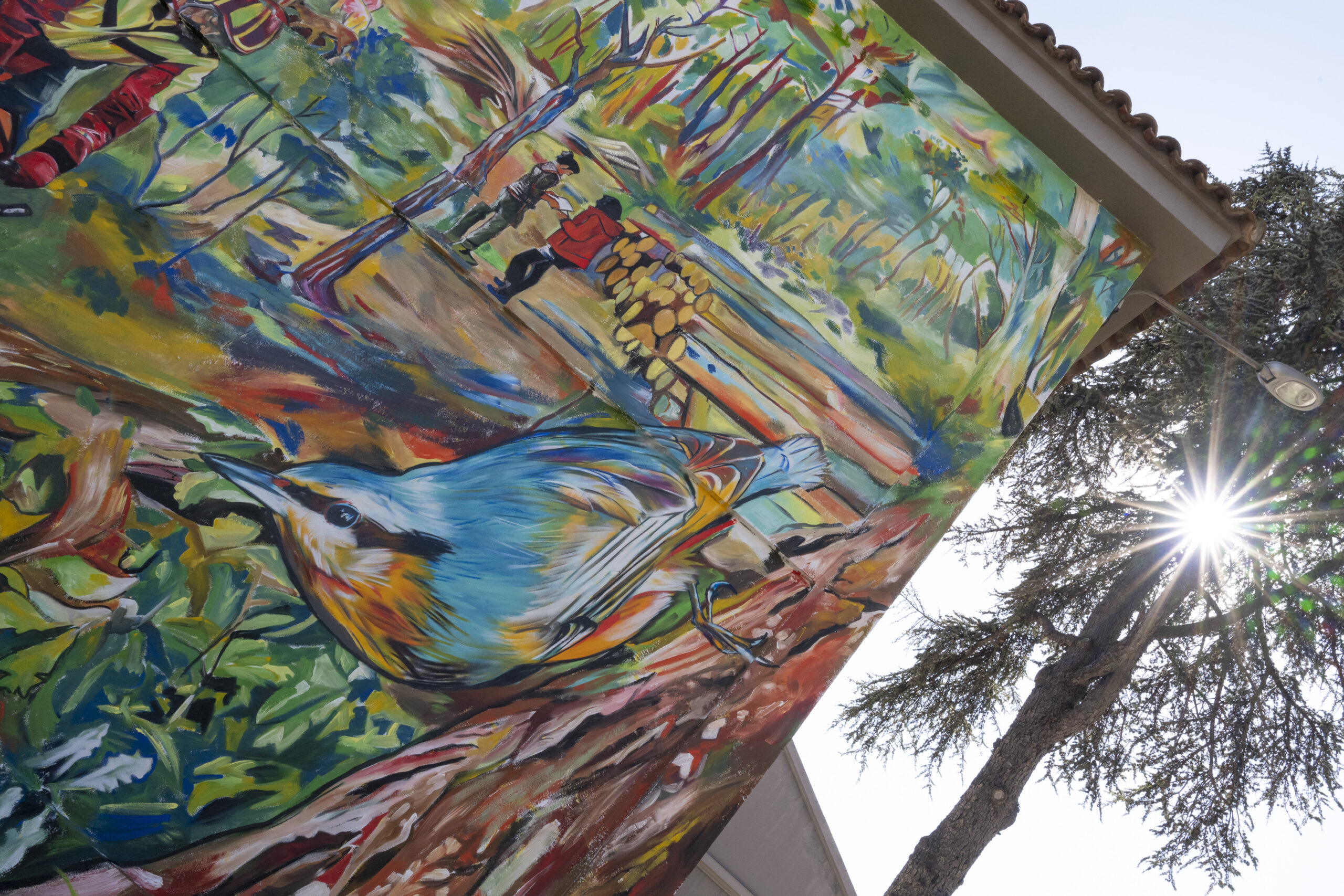 2026_JORNADES_ABOSC_211